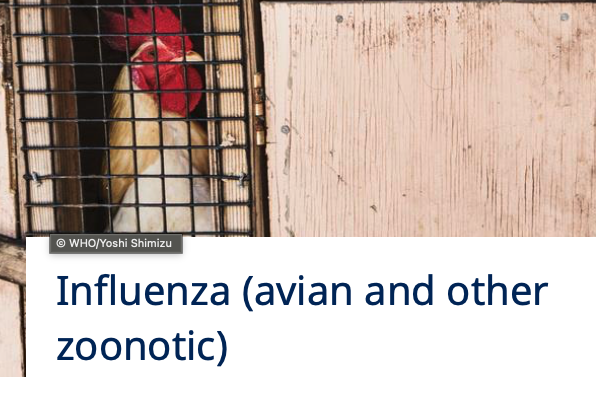 Influenza (avian and other zoonotic) health topic page