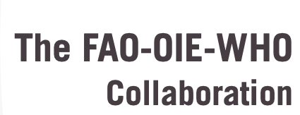 Tripartite Concept Note 2010