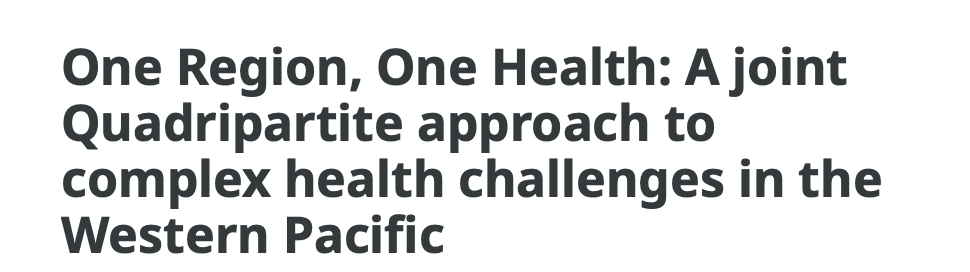 Member States Webstories – Quadripartite Regional Story