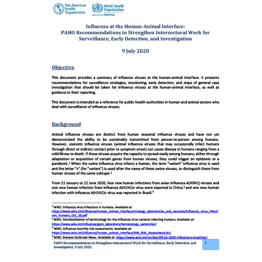 Influenza at the Human-Animal Interface: PAHO Recommendations to Strengthen Intersectoral Work for Surveillance, Early Detection, and Investigation, 9 July 2020